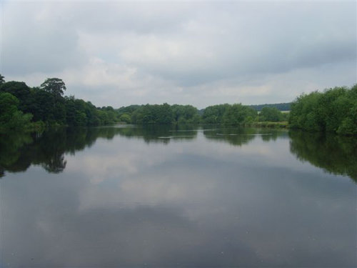 Morley Pond